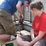 Do it yourself: Dachterrasse